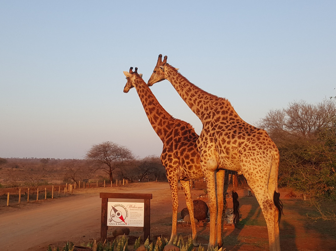South Post at Kruger-克鲁格国家公园必去景点