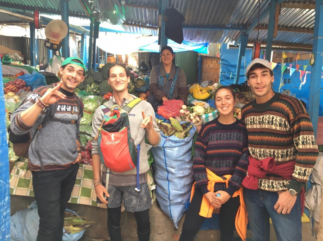 Bolivia Walking Llama-拉巴斯必去景点