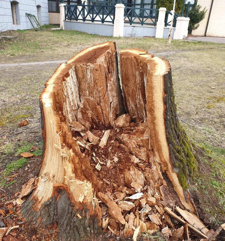 Palic Nature Park-Palic必去景点