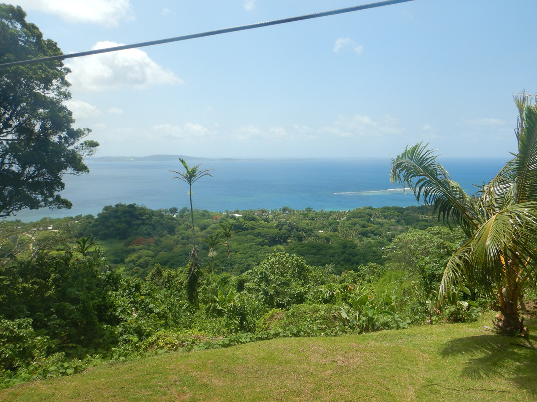 Vanuatu Jungle Ziplines-维拉港必去景点