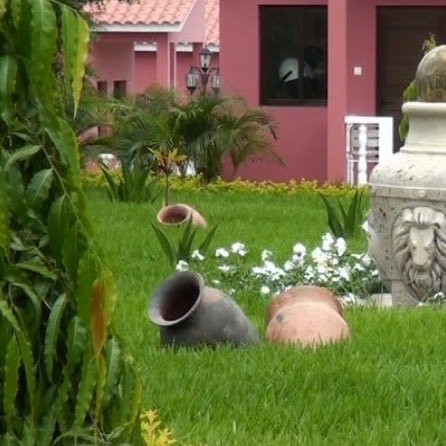 Catete旅游攻略图片