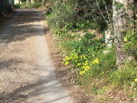 Sentier du Vinaigrier-尼斯必去景点