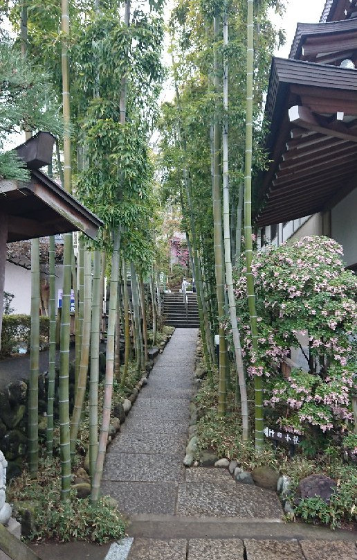 Mitsuzoin Temple-川口市必去景点