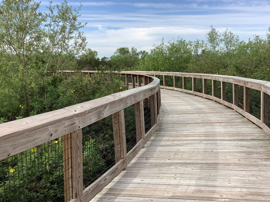 Se7en Wetlands-莱克兰必去景点