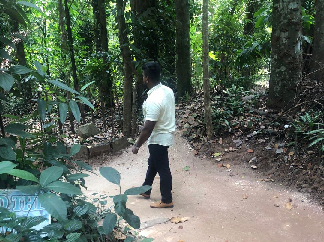 Luck Grove Spice Garden-Matale必去景点