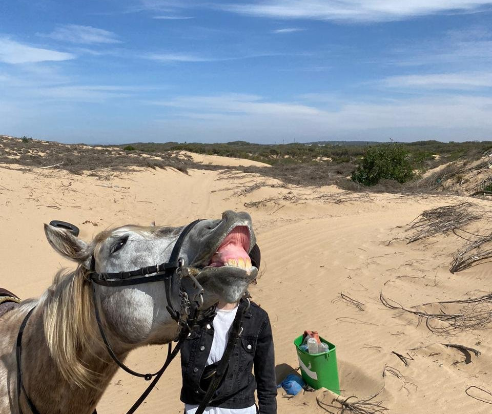 Family Adventure-索维拉必去景点