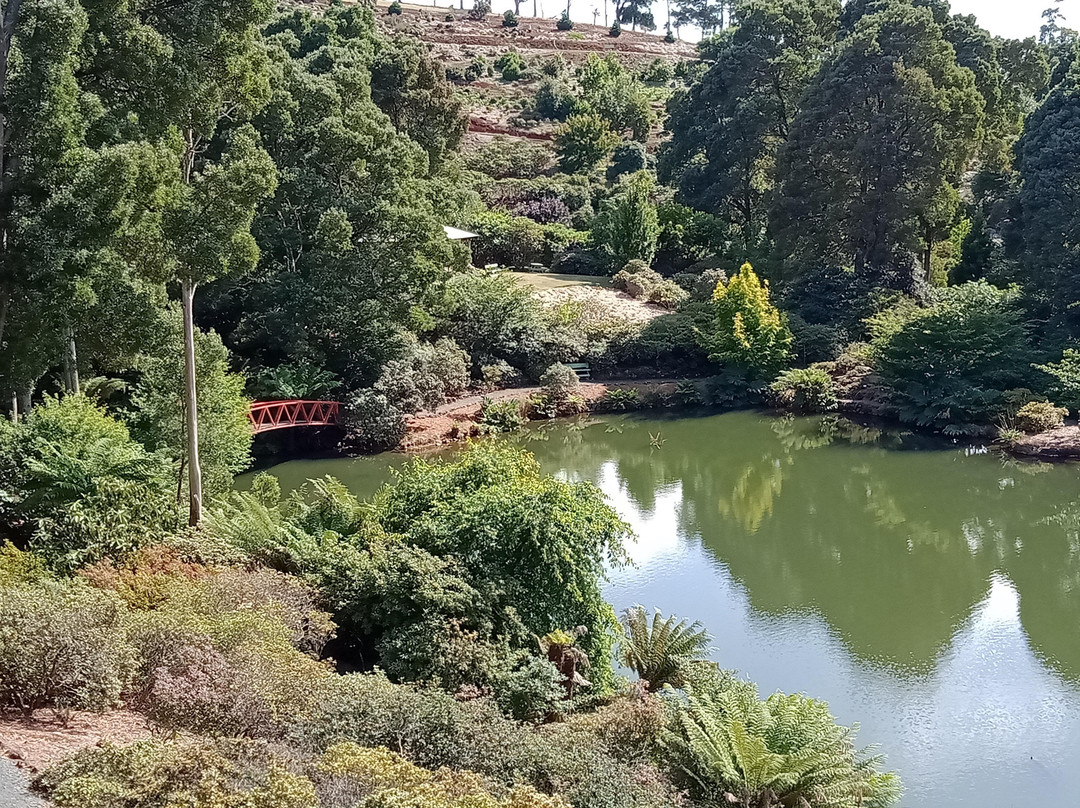 Emu Valley Rhododendron Garden景点图片