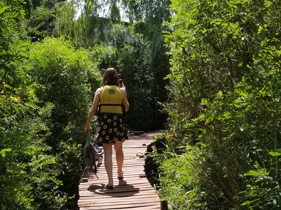 Patricio Redman Kayak-蒂格雷必去景点