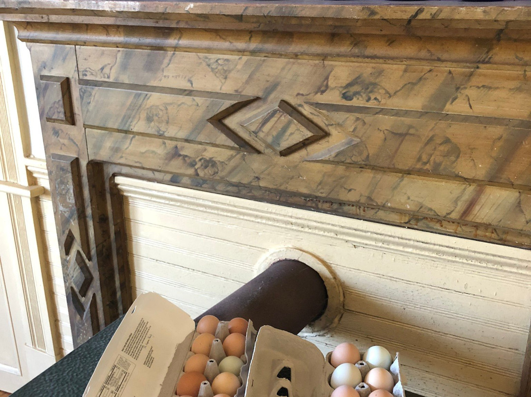 Belle Meade Bed and Breakfast主图