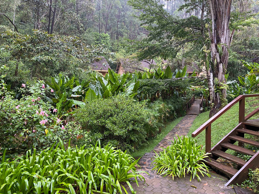 Vakona Forest Lodge主图