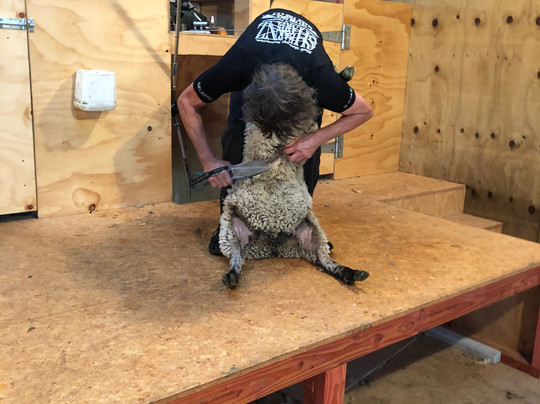 Geraldine Farm Tours-杰拉尔丁必去景点