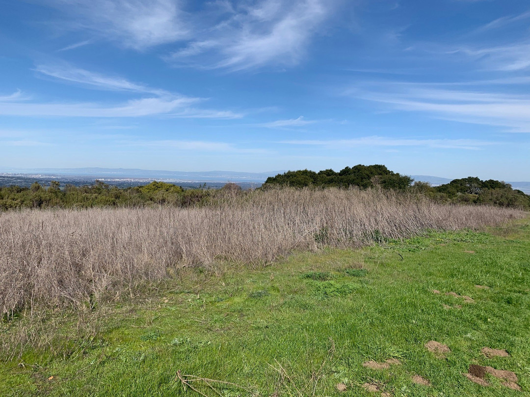 Windy Hill Open Space Preserve-洛思阿图斯必去景点