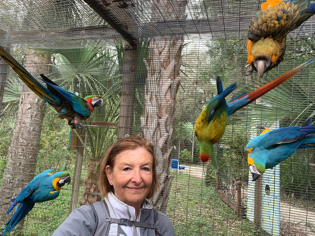 Bird Gardens of Naples-那不勒斯必去景点