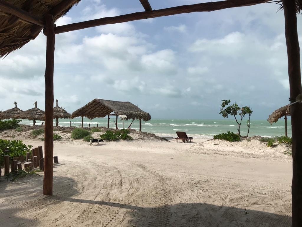 Hotel Casa Palapas Del Sol主图