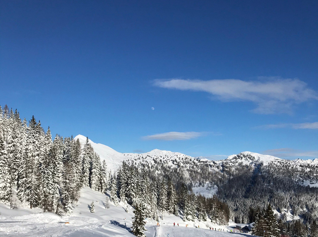 Weltmeister Schischule Top Alpin Walchhofer-旧市彭高必去景点