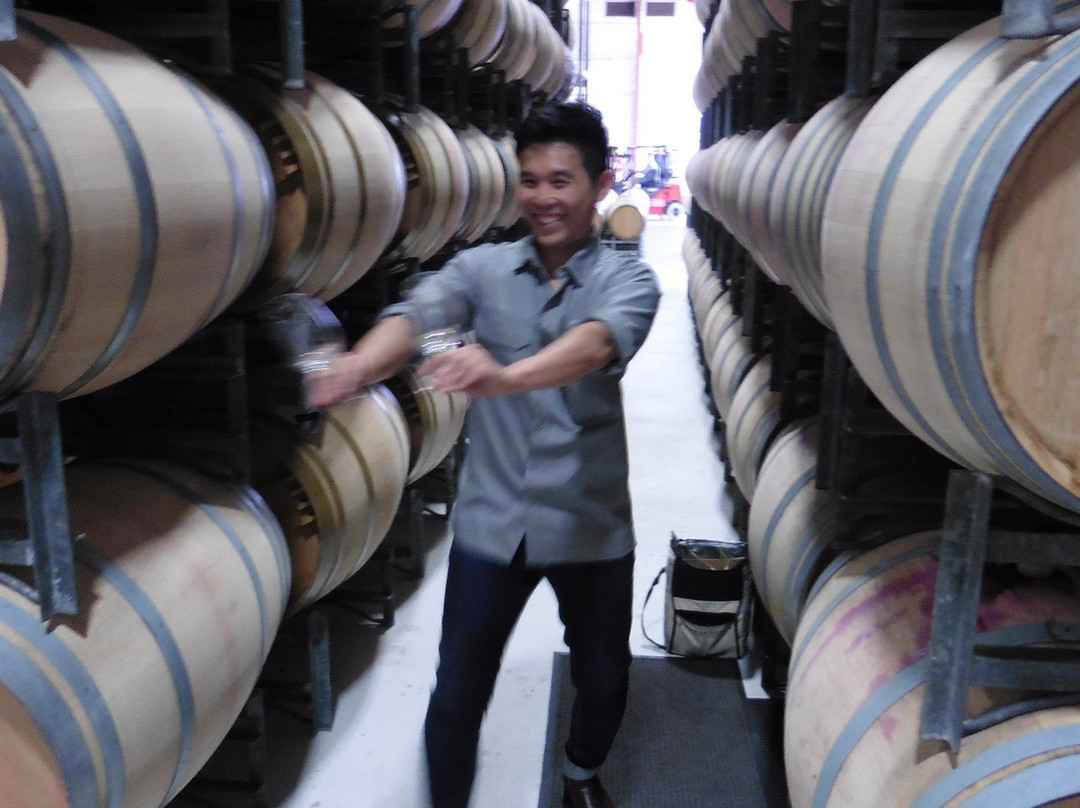 航行家酒庄景点图片