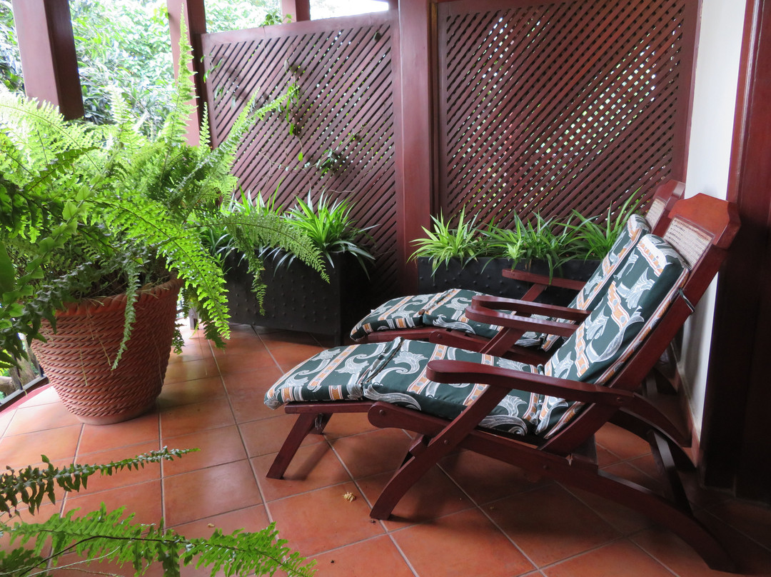 非洲郁金香宾馆主图