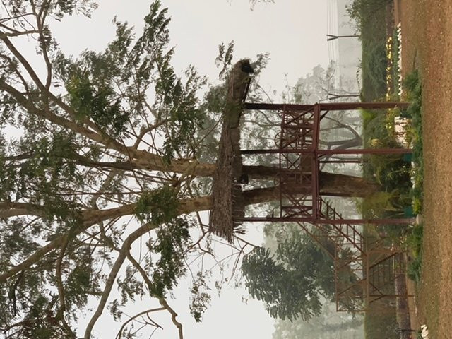 Dam Dim Tea Residency主图