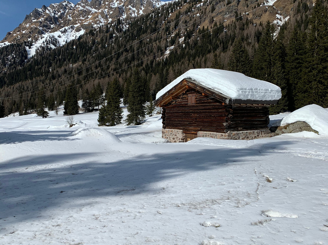 Centro Sci di Fondo Passo San Pellegrino - Alochet景点图片