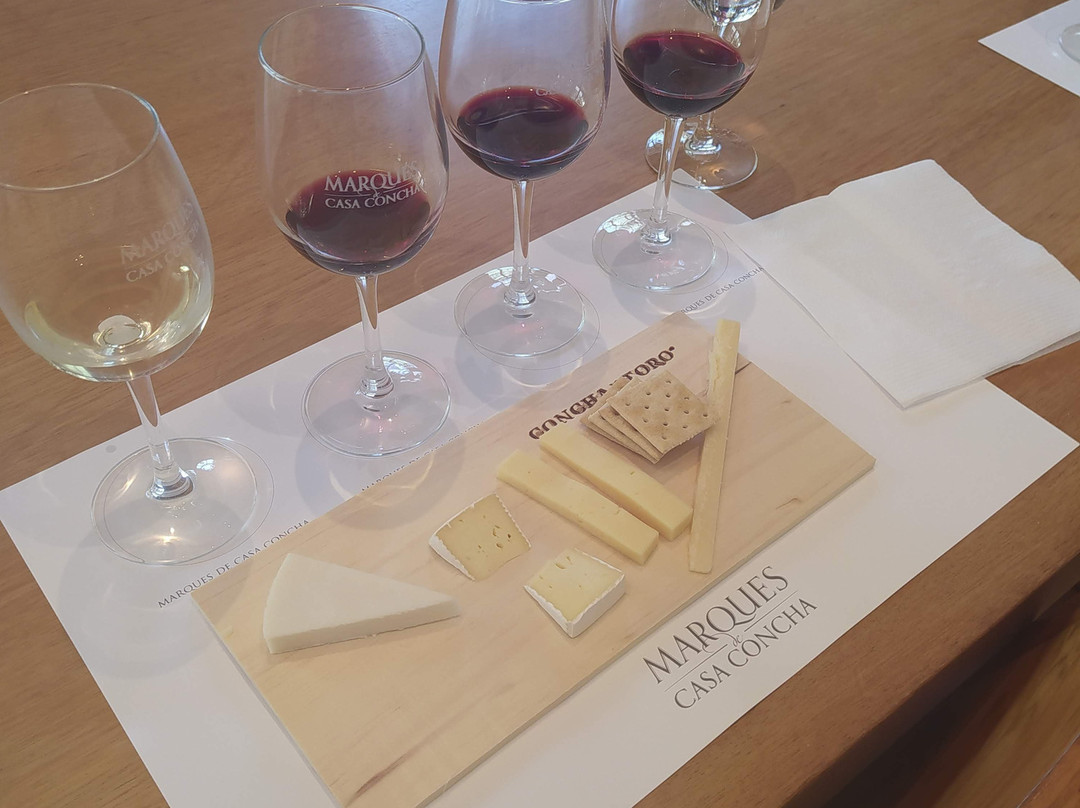 Concha y Toro-Pirque必去景点