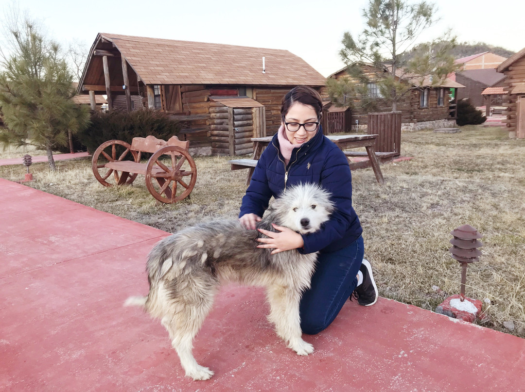 Villa Mexicana Copper Canyon Lodge主图