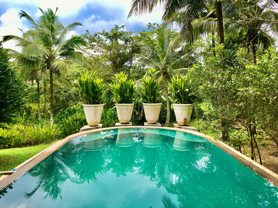 Casa Heliconia主图