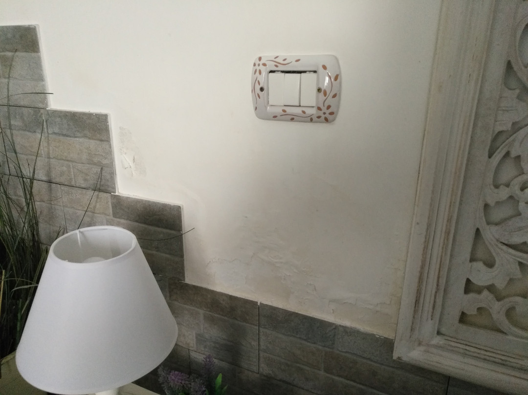 Lady B Bed & Breakfast主图