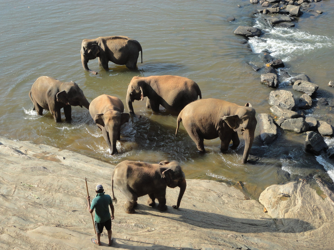 大象公园酒店主图