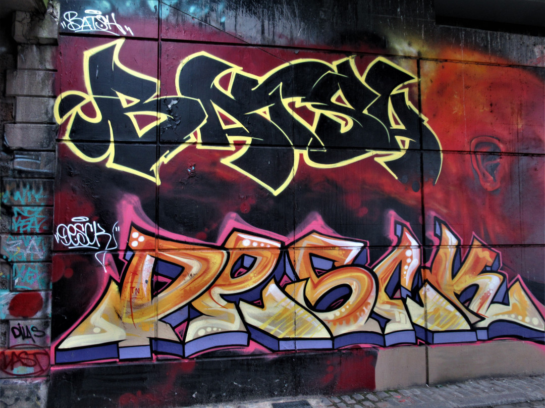 Fresque "Profile rouge"景点图片