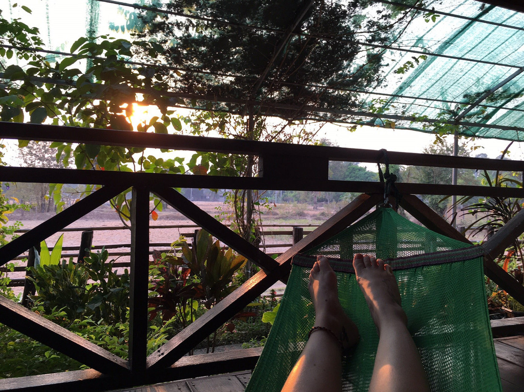 Don Phapeng酒店住宿-Chanhthida Guesthouse