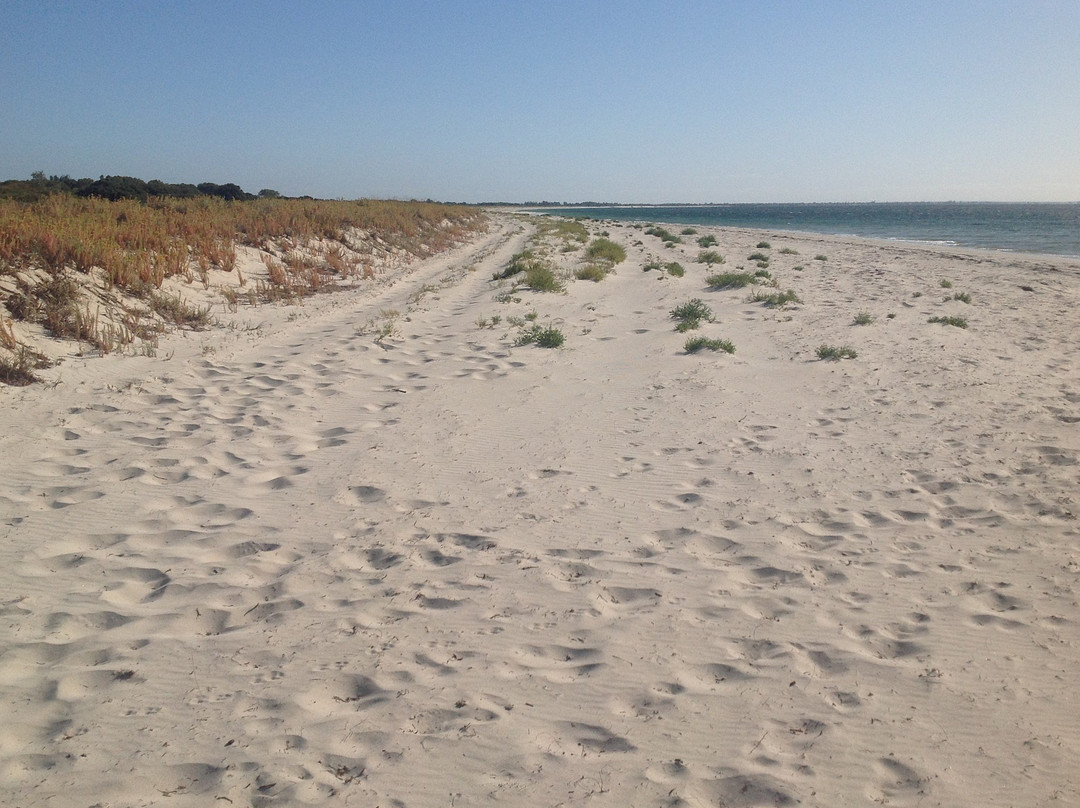 Forrest Beach-Capel必去景点