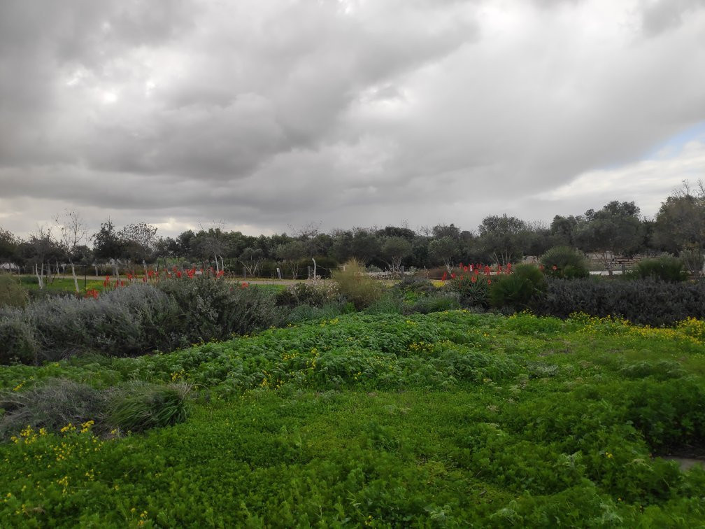Ariel Sharon Park景点图片