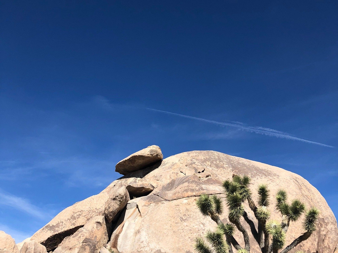 Cap Rock Trail景点图片