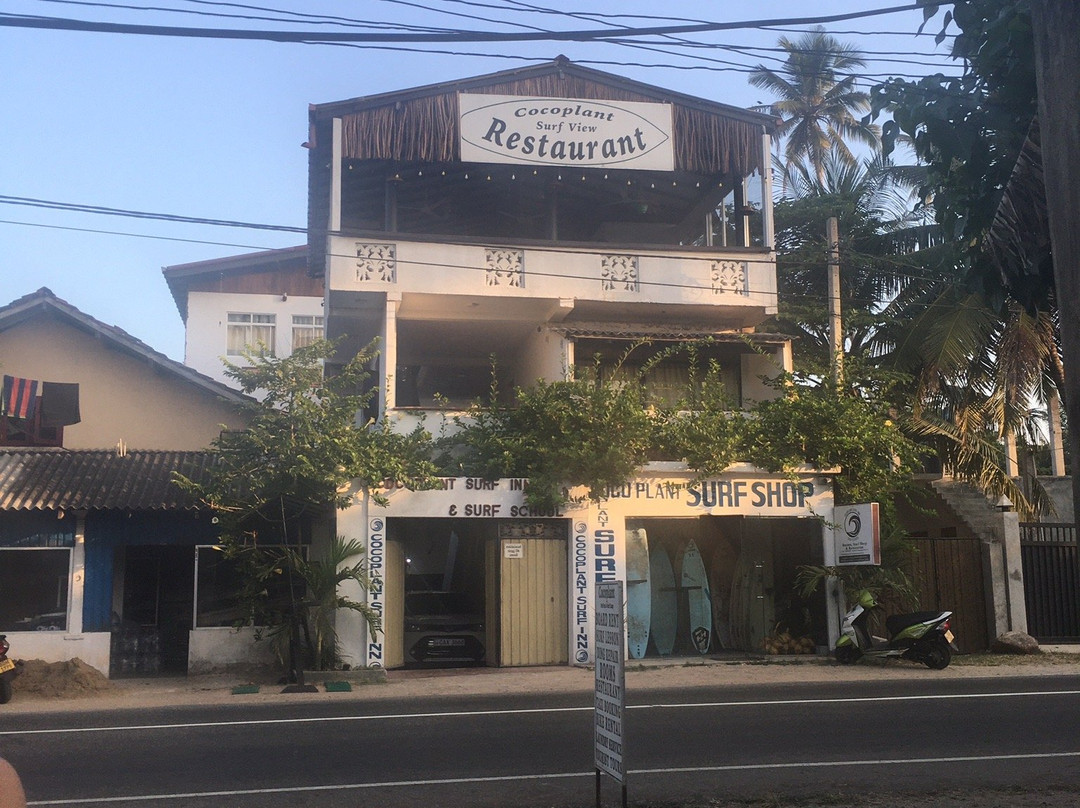 Cocoplant Surf Inn & Surf School主图