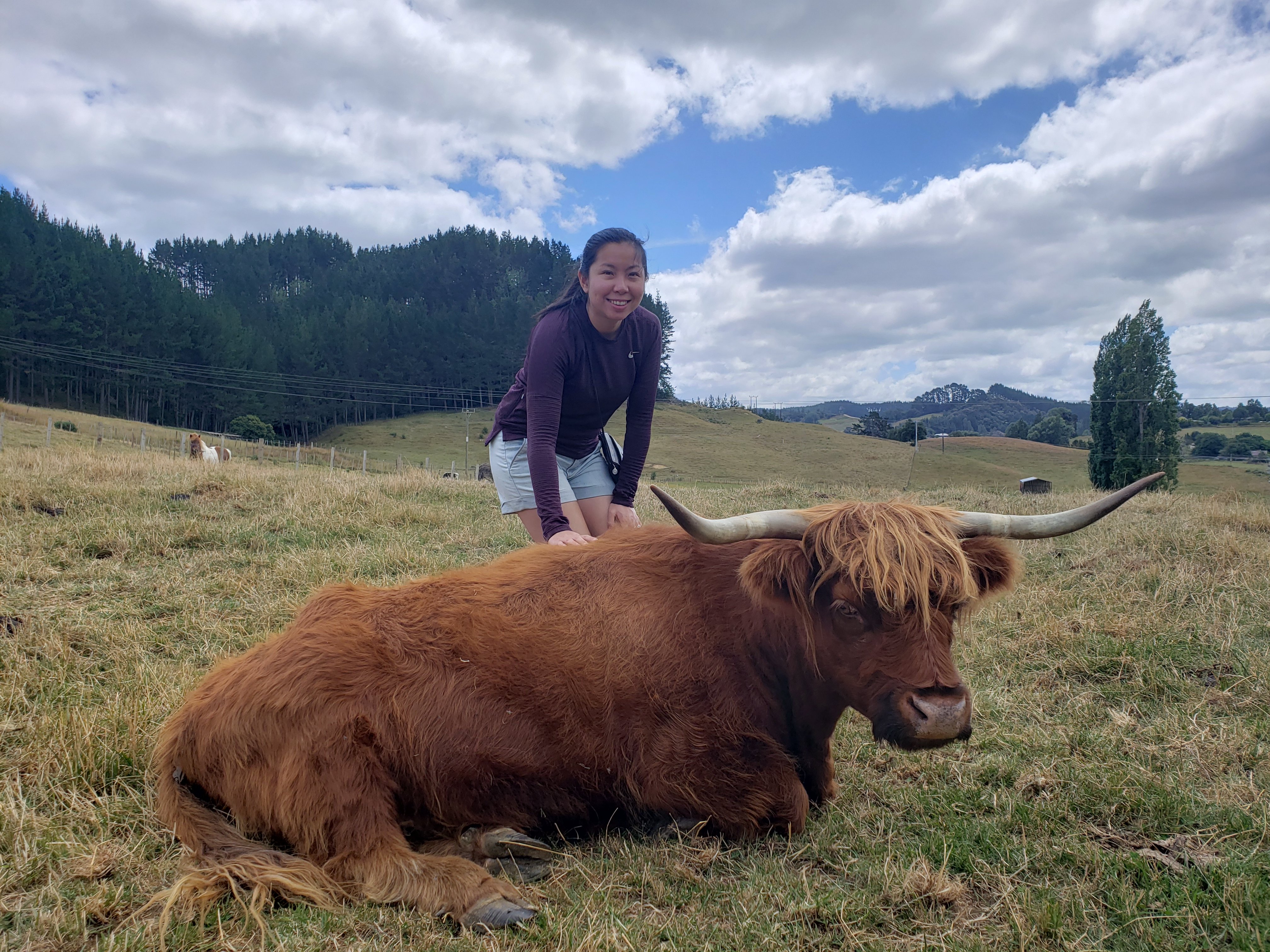 Waitomo Big Bird Bed & Breakfast-官方