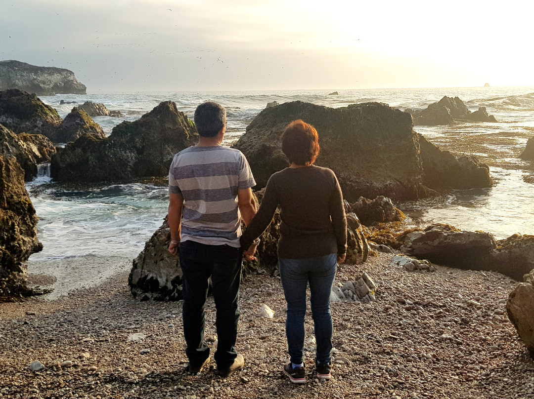 Playa Trompa de Elefante景点图片