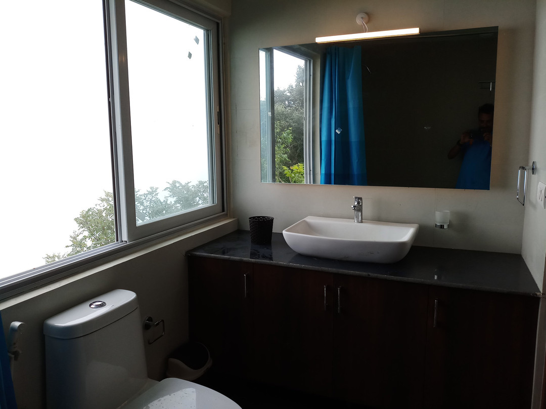 Nest And Hives主图