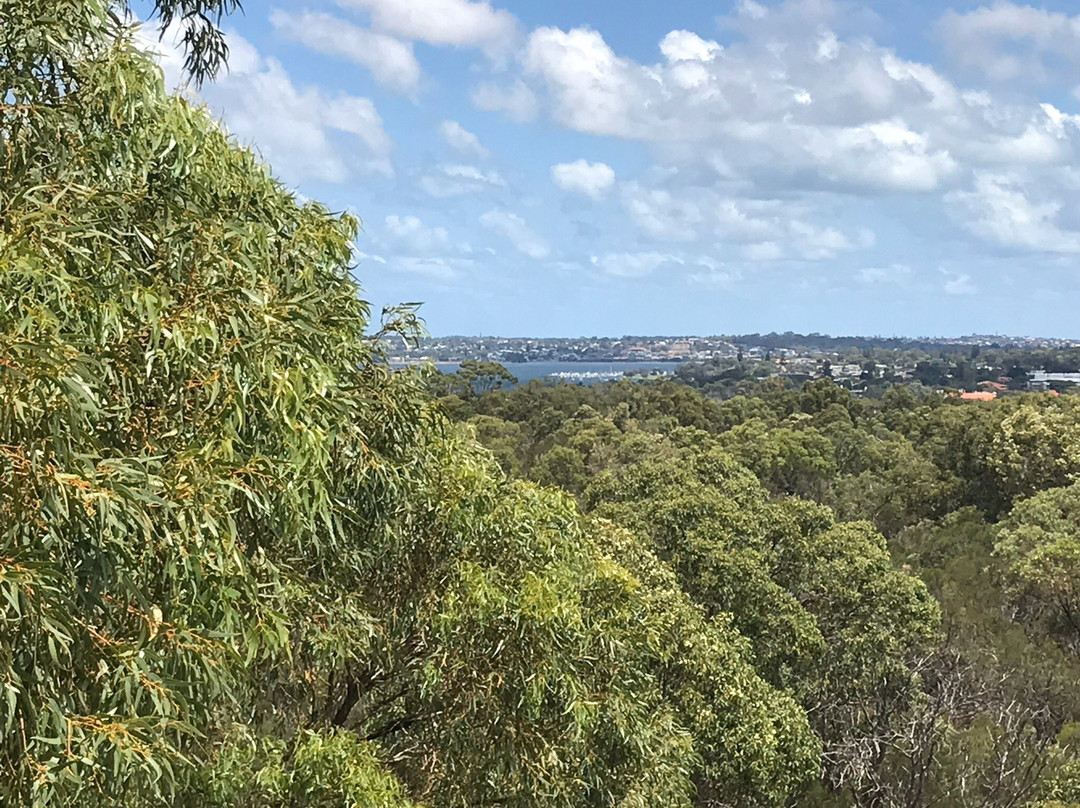 DNA Tower Climb-珀斯必去景点