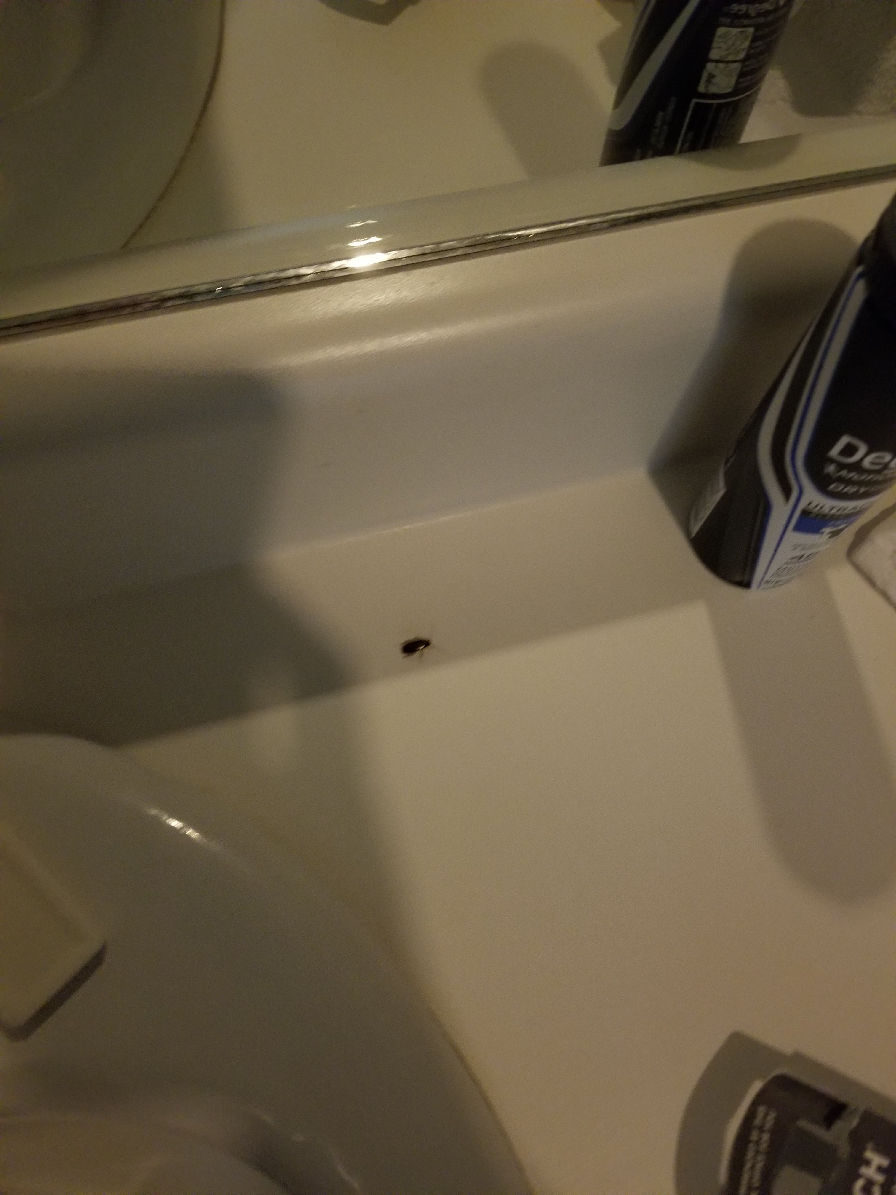 Booneslick Lodge-官方