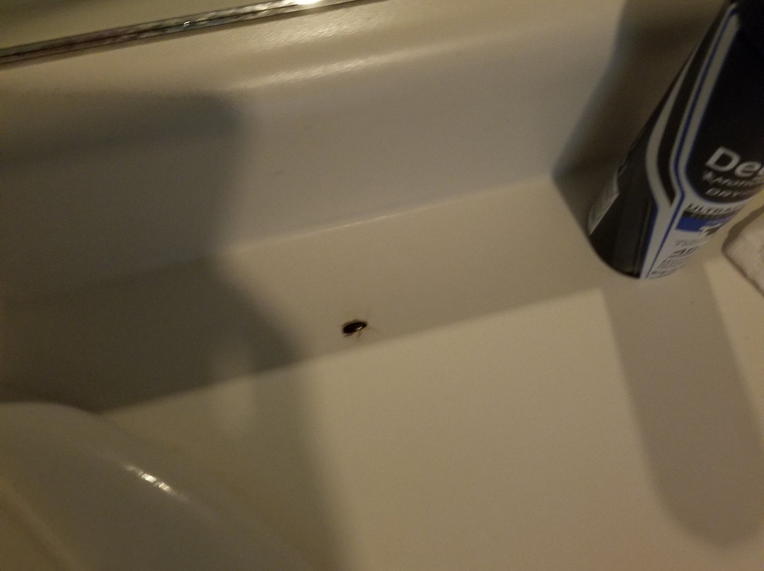 Booneslick Lodge主图