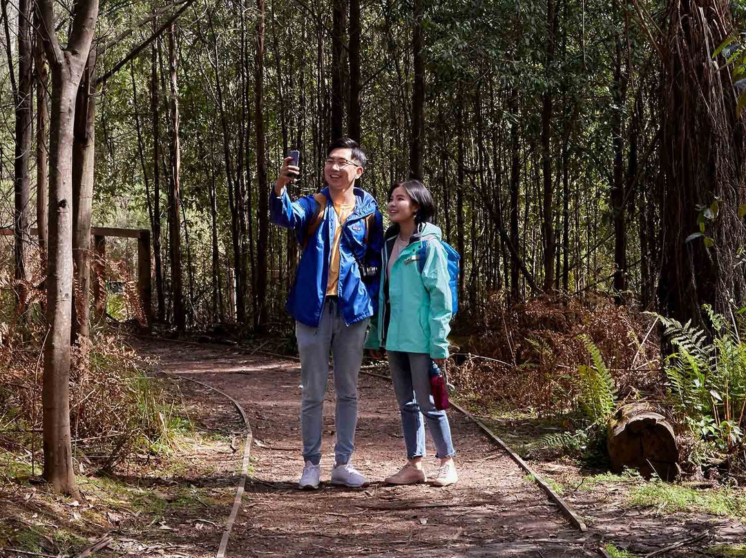 Kinglake National Park-Kinglake必去景点
