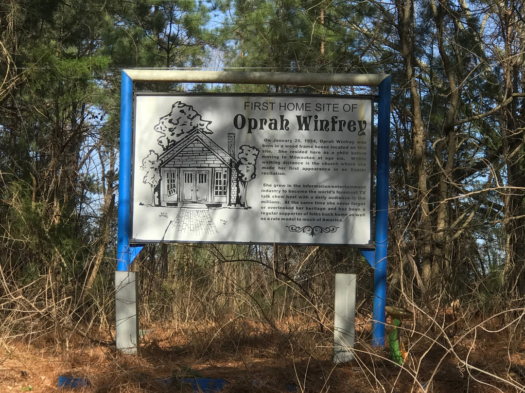 Oprah Winfrey's Birthplace景点图片