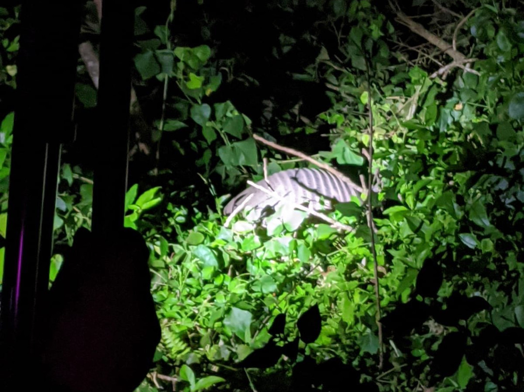 Monteverde Wildlife Refuge景点图片