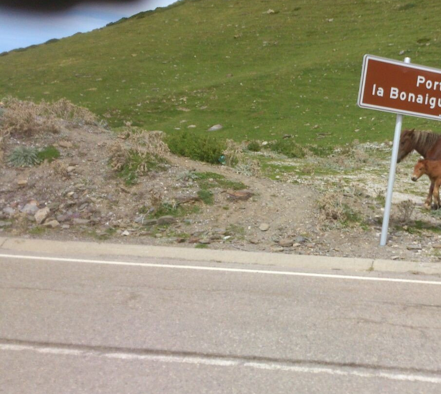 La Bonaigua Hotel主图