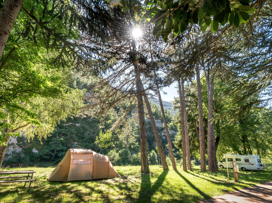 Camping le site de Castelbouc