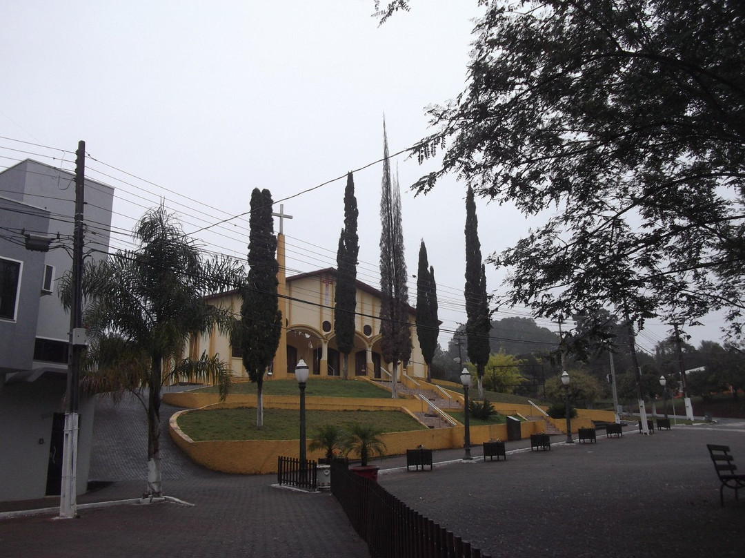Igreja Matriz - Paróquia Senhor Bom Jesus da Coluna景点图片