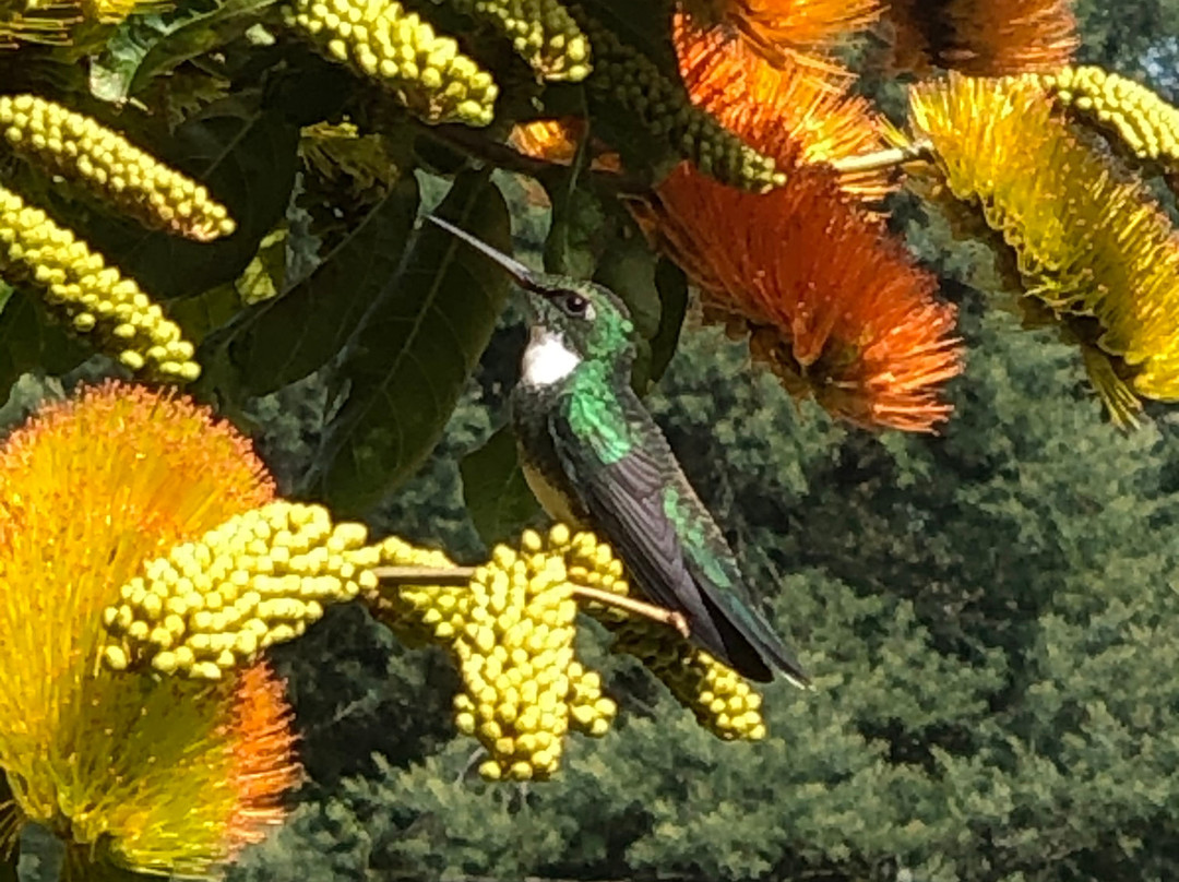 El Balcon del Abra主图