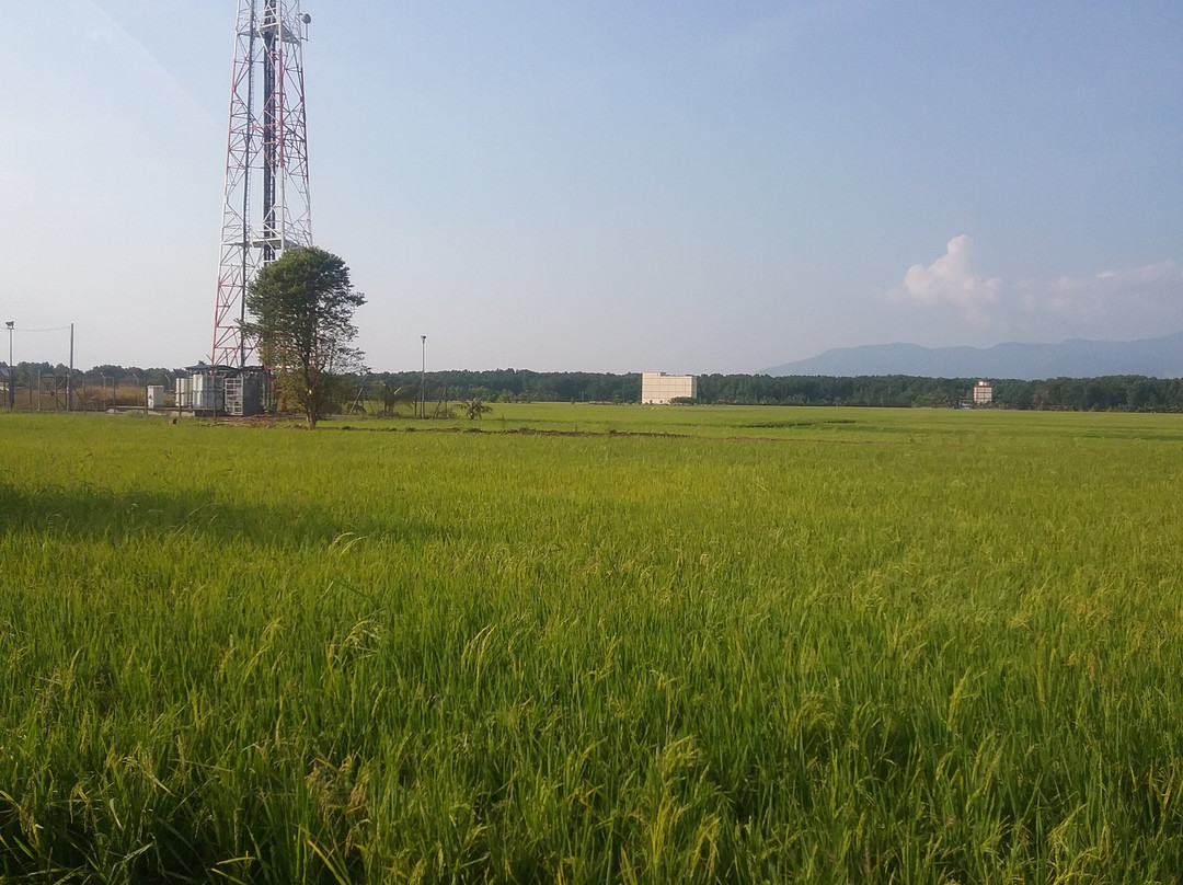 Malaysia Tour & Private Tour Transportation-吉隆坡必去景点