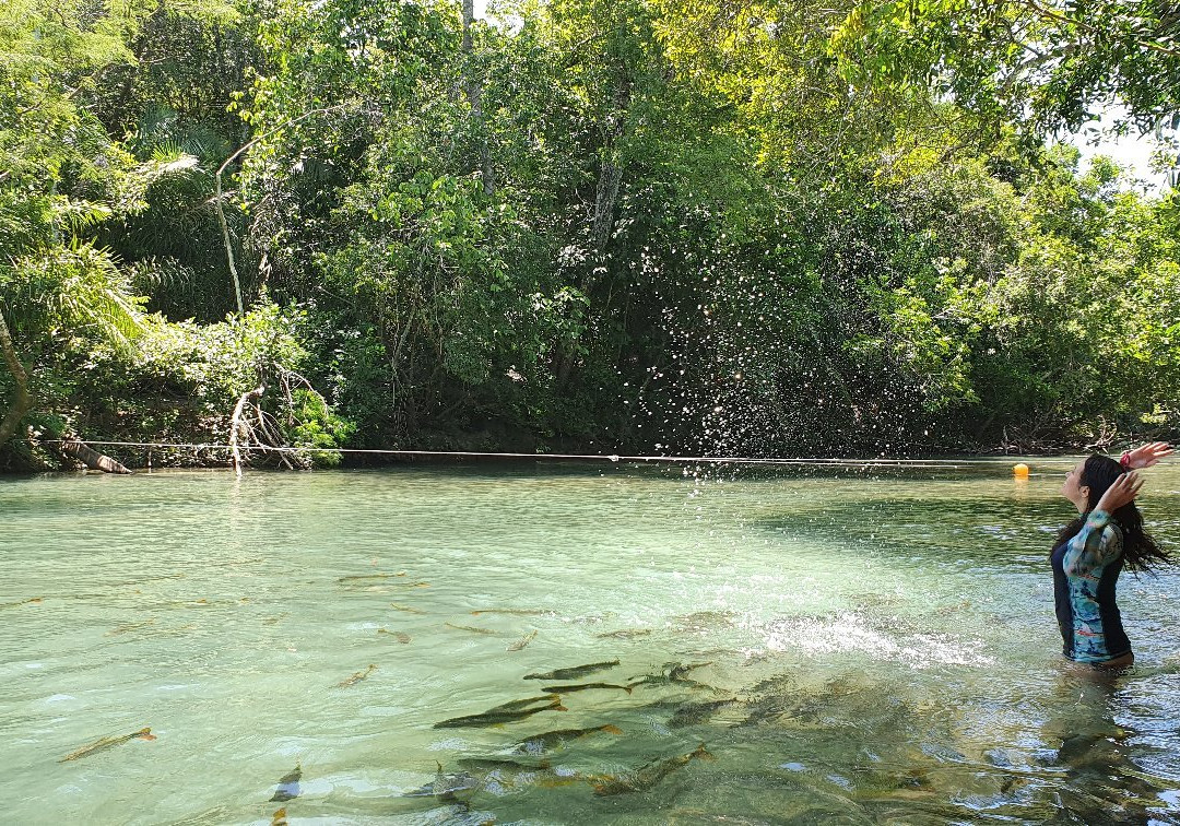 Jardim Ecopark景点图片