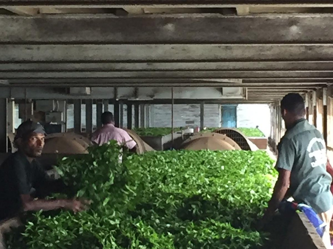 Haputale Super View主图